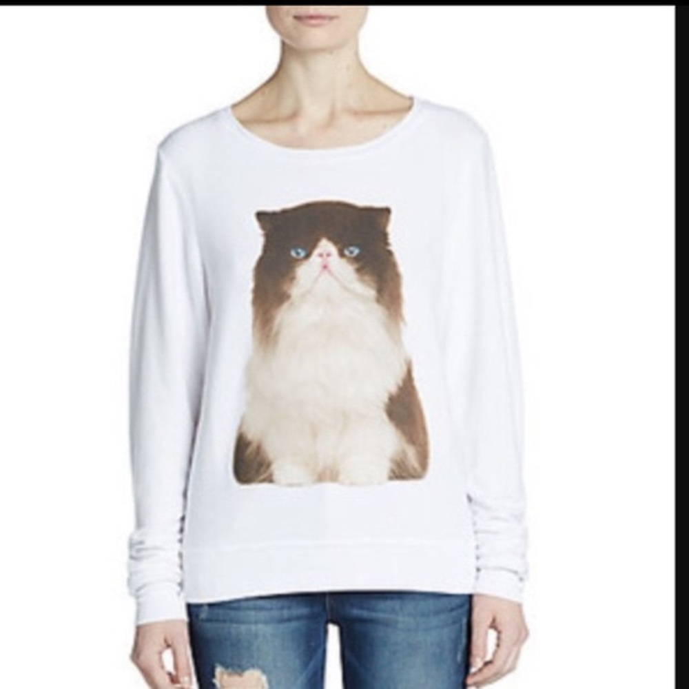 Wildfox grumpy cat bbj sweater